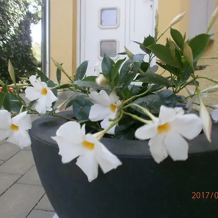 Royal Apartament Szybenik